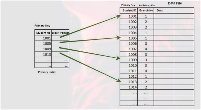 Primary Index